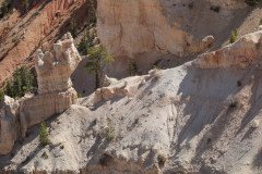 DSC03159-Medium