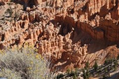 DSC03169-Medium