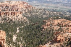 DSC03179-Medium