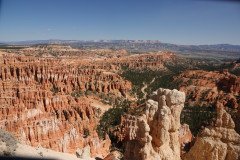 DSC03183-Medium