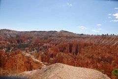 DSC03199-Medium