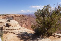 DSC00295-Medium