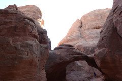 DSC00329-Medium