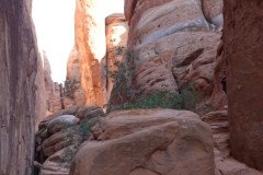 DSC00330-Medium