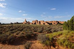 DSC00331-Medium