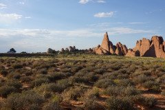 DSC00333-Medium