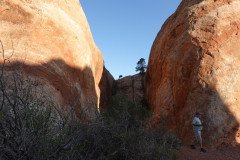 DSC00335-Medium