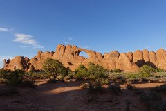 DSC00336-Medium
