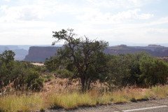 DSC02809-Medium