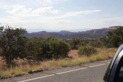 DSC02811-Medium