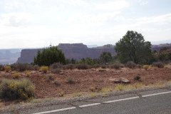 DSC02813-Medium