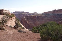 DSC02824-Medium