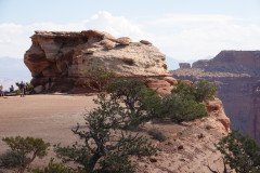 DSC02826-Medium