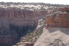 DSC02827-Medium