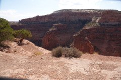 DSC02833-Medium
