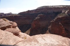 DSC02839-Medium