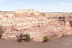 DSC02840-Medium