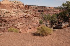 DSC02848-Medium