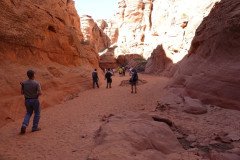 DSC03208-Medium