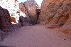 DSC03213-Medium