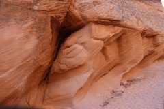 DSC03216-Medium