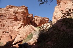 DSC03219-Medium