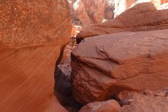 DSC03220-Medium