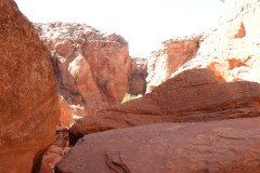 DSC03221-Medium