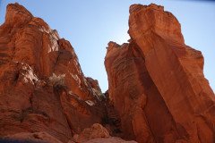 DSC03223-Medium