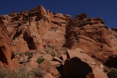 DSC03227-Medium