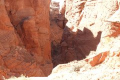 DSC03230-Medium