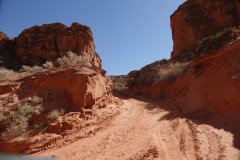 DSC03231-Medium