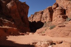 DSC03232-Medium