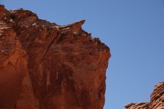 DSC03233-Medium