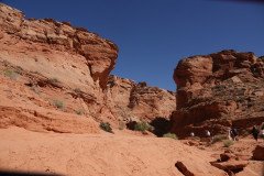 DSC03235-Medium