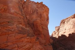 DSC03237-Medium