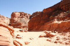 DSC03238-Medium