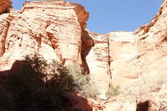 DSC03239-Medium
