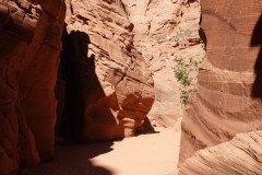 DSC03263-Medium