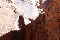 DSC03266-Medium