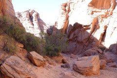 DSC03268-Medium
