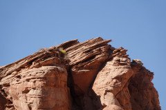 DSC03269-Medium