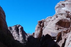 DSC03273-Medium