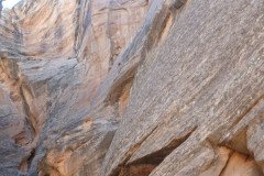 DSC03275-Medium