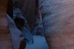 DSC03276-Medium