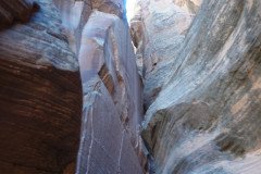 DSC03278-Medium