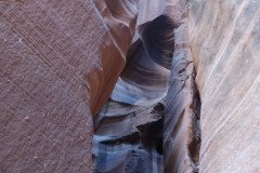 DSC03283-Medium