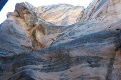 DSC03284-Medium