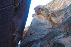 DSC03285-Medium