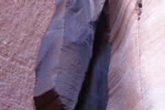 DSC03286-Medium